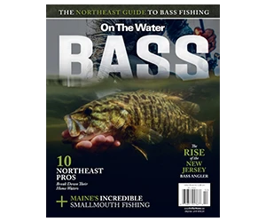 Free Copy of the BASS Special Edition Magazine