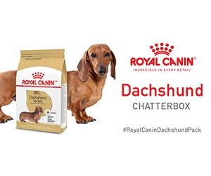 Free Royal Canin Breed Health Nutrition Dachshund