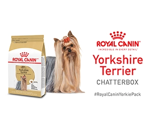 Free Royal Canin® Yorkshire Terrier Chatterbox