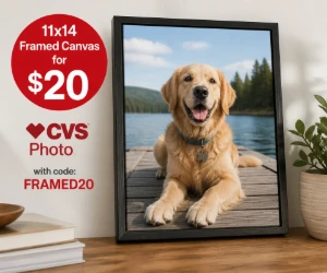 11x14 Framed Canvas for $20 at CVS Photo
