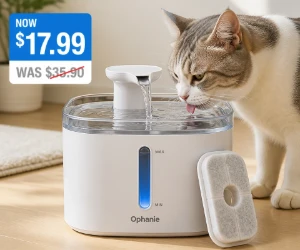 95oz Pet Water Fountain for $17.99 at Walmart - Nearly Half the Displayed Price