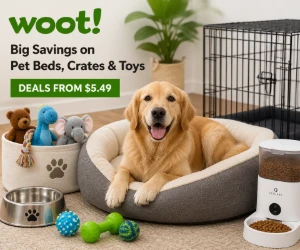 Big Savings on Pet Beds, Crates & Toys at Woot - Deals From $5.49