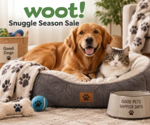 Cozy Pet Beds, Blankets & More in Woot's Snuggle Season Sale