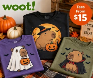 Creepy-Cute Capybara Halloween Tees From $15 at Woot