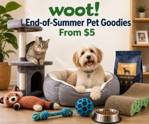End-of-Summer Pet Goodies at Woot From $5
