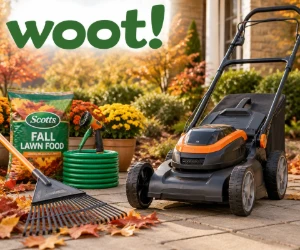 Fall Gardening & Landscaping at Woot From $6.99 - End-of-Season Prices