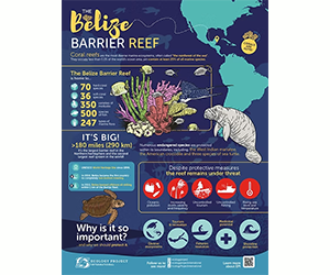 Free Belize Barrier Reef Classroom Poster