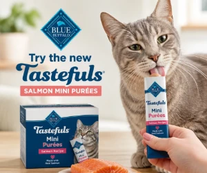Free Blue Buffalo Tastefuls Salmon Cat Treat Sample