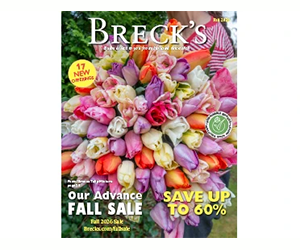 Free Breck's Gardening Catalog