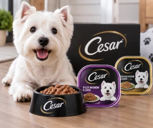 Free CESAR Dog Food Sample