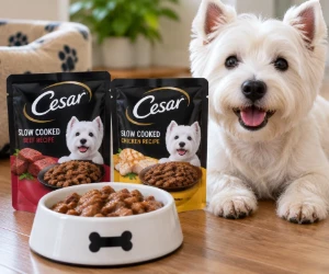 Free CESAR Slow-Cooked Mini Pouch Dog Food Sample