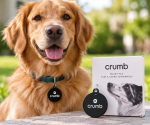 Free Crumb Smart Tag for Your Pet