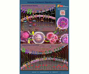 Free Immune Checkpoint Signaling Pathways Poster