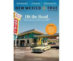 Free New Mexico True Adventure Guide