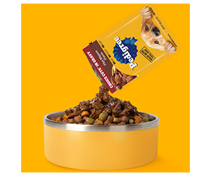 Free Pedigree Dog Food Sample