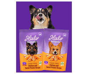 Free Sample of Halo Holistic Dog Food
