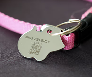 Free Tabby Pet ID Tag