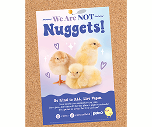 Free "We Are NOT Nuggets!" Poster