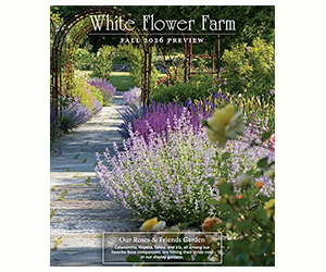 Free White Flower Farm Fall Catalog