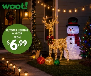 Outdoor Lighting & Decor at Woot From $6.99 - Seasonal Finds for Less