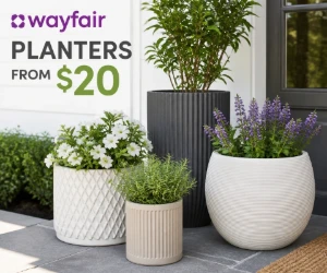 Planters From $20 at Wayfair - Give the Patio a Quick Refresh