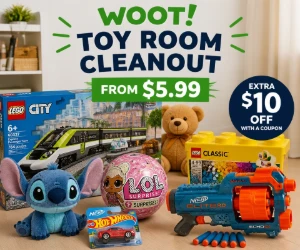 Toy Room Cleanout From $5.99 at Woot + Extra $10 Off With a Coupon