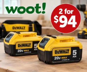 Two DEWALT 20V MAX 5Ah Batteries for Just $94 at Woot