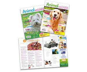 Free Issue Of Animal Wellness Magazine For Dogs And Cats