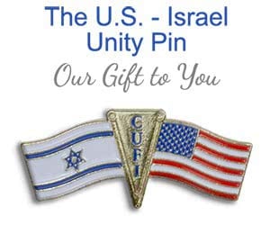 Free U.S - Israel Unity Pin