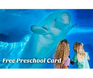 Free SeaWorld and Aquatica Orlando admission for children 5 years old and under