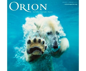 Free Orion Magazine Issue