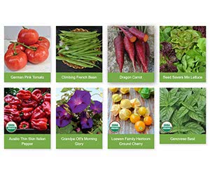 Free Seed Savers Exchange Seed Catalog With Recipes, Tips And 20 New Seeds