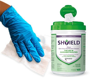 Free Shyield Desinfectant Wipes