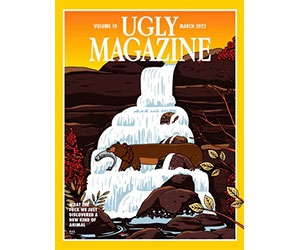 Free Ugly Magazine Copy