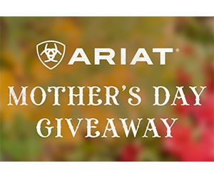 Win Ariat Casual Shoes Pair