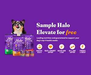 Free Halo Elevate Dry Dog Food