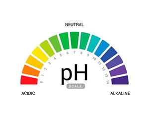 Free pH Testing Strips