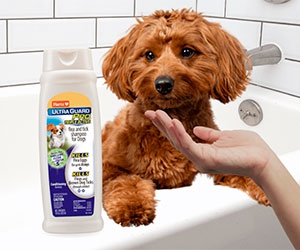 Free Hartz Triple Active Flea & Tick Dog Shampoo