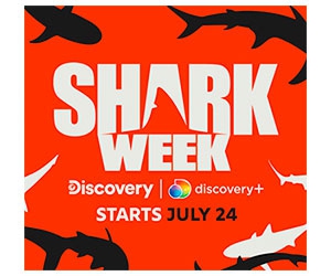 Win a Shark Dive Trip For 2 From Islander Charters And $20,000