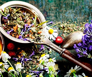 Free Magnolia Wellness Holistic Healing Tea Sample