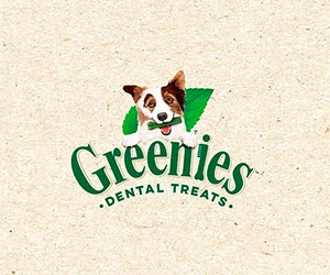 Free Dental Treats For Dogs From Greenies