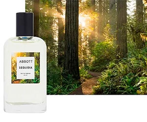 Free Abbott Sequoia Fragrance And Non-Toxic Candle