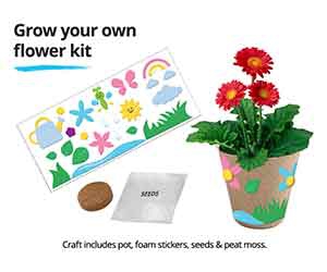 Free Grow Your Own Flower Kit  At JCPenney