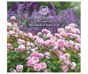 Free David Austin Handbook of Roses