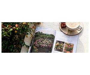 Free Handbook Of Roses 2023 Catalog