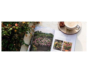 Free Handbook Of Roses 2023 Catalog