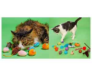 Free Cattraction Silver Vine & Catnip Multipack Or Crinkle Mice From Hartz