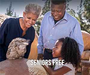 Free Seniors Entrees At San Diego Zoo Safari Park