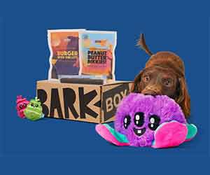 BarkBox - Free Shipping on All Orders