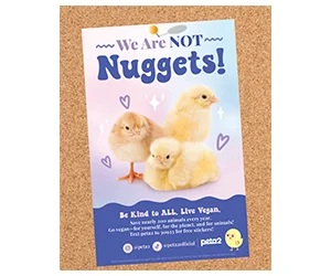Free ”We Are Not Nuggets” Poster